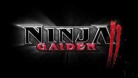 Ninja Gaiden 2 Wallpaper.JPG